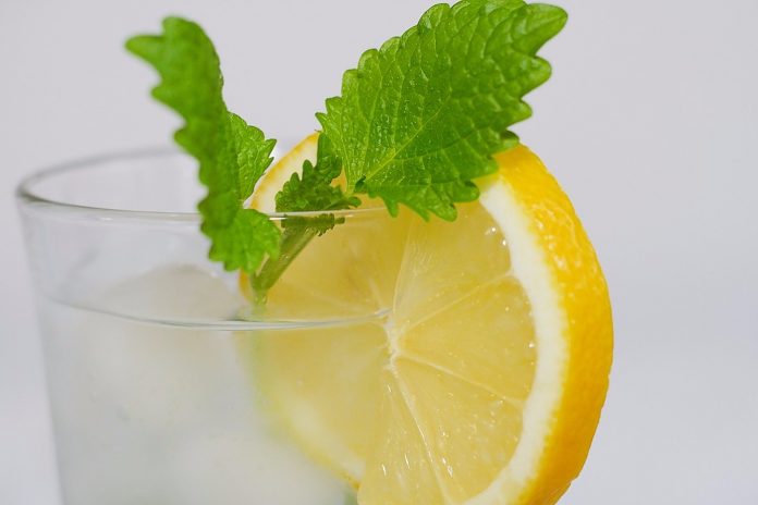 Voda s limunom rješava 12 zdravstvenih problema