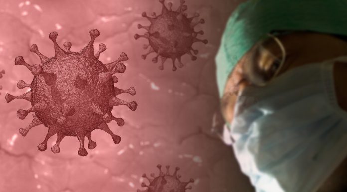 Koronavirus u biblijskim proročanstvima?