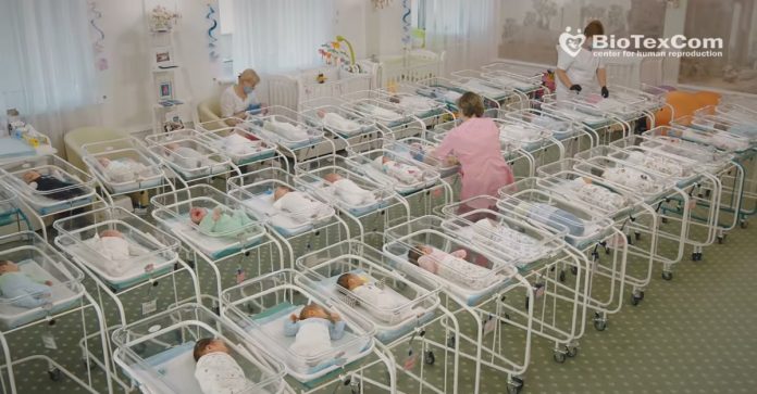 Bebe u Ukrajini Bebe čekaju roditelje - video iz Ukrajine zgrozio svijet