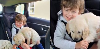 Stavila je psa u krilo autističnog sina, a reakcija ju je rasplakala