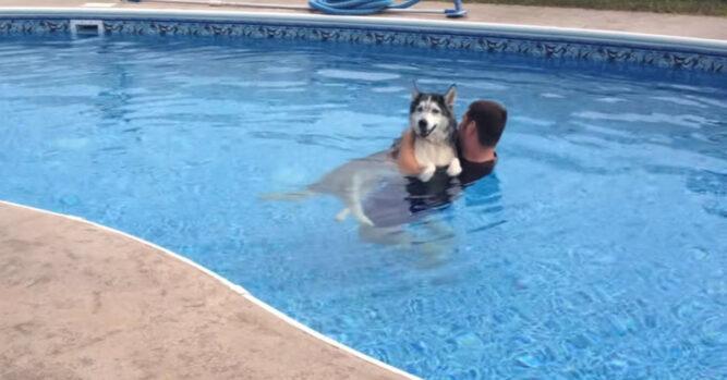 Svaki dan je plivao sa svojim psom 1