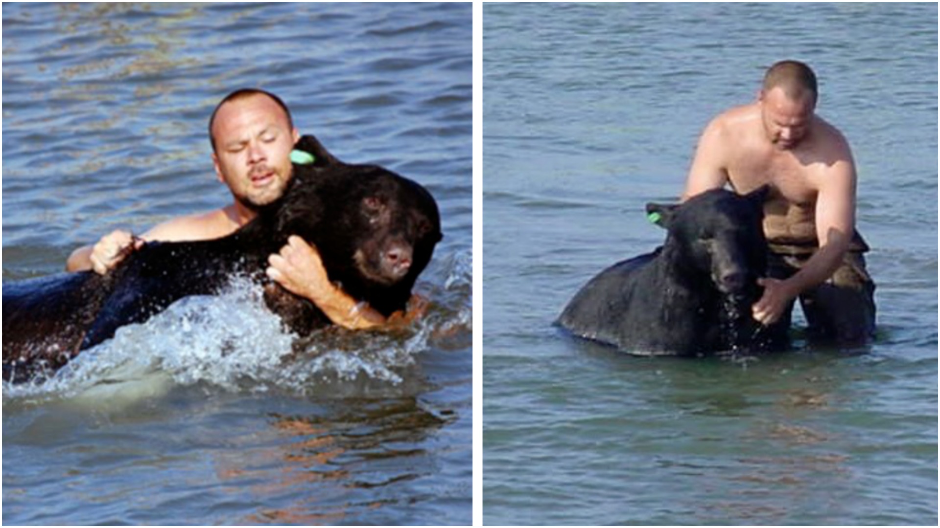 Skočio je u vodu spasiti medvjeda koji se utapao