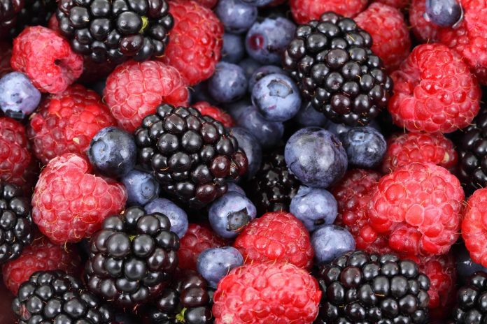 Bobičasto voće: Sočno i moćno za zdravlje