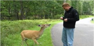 Hranio je gladnog jelena kojeg je sreo, a njegova reakcija ga je začudila