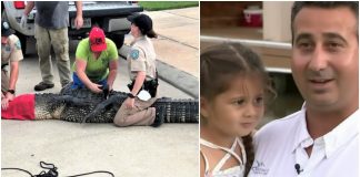 Hrabri otac spasio kćer (5) od napada aligatora dugog 3 metra
