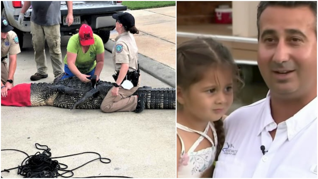 Hrabri otac spasio kćer (5) od napada aligatora dugog 3 metra
