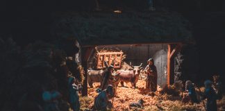 Zašto je Isus je iz nebeskog doma došao u štalu sa životinjama