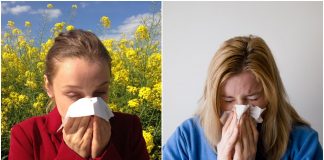 Alergija ili prehlada razlika