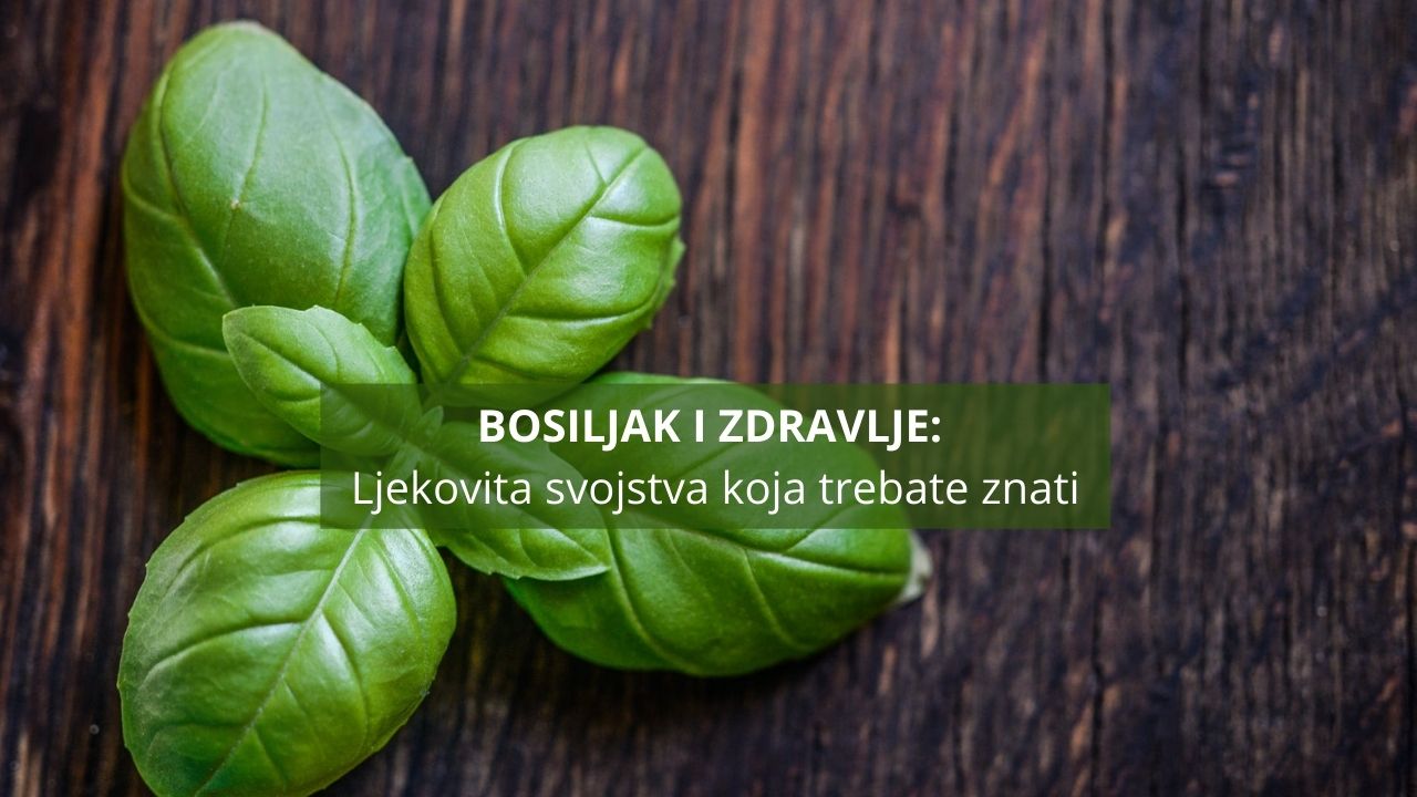 Bosiljak zdravlje