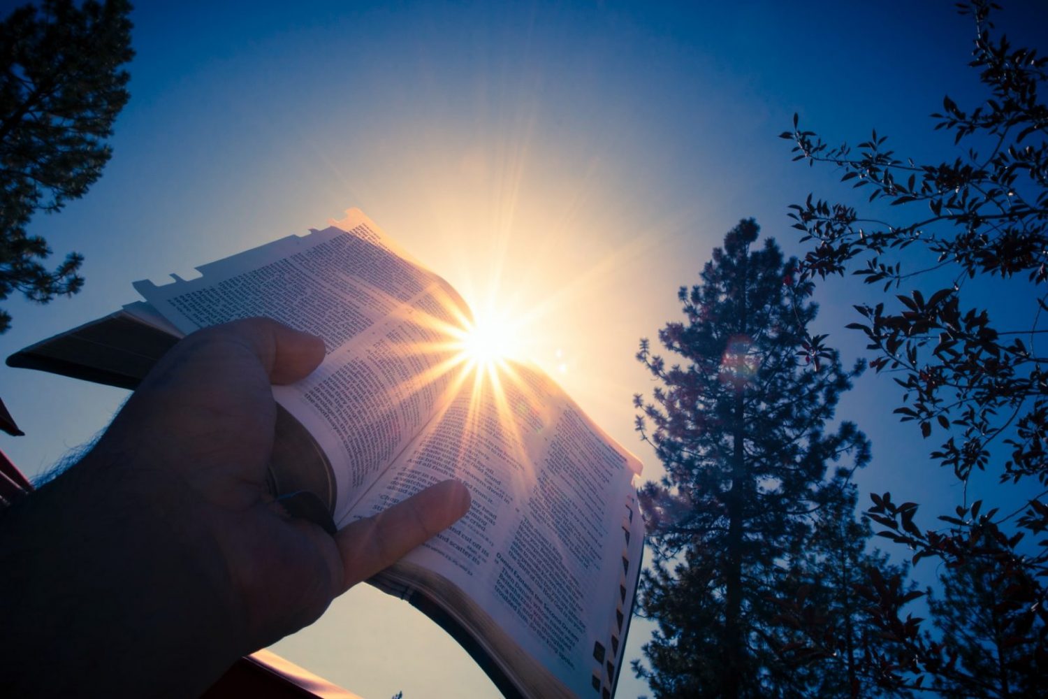 Zašto Isus nije napisao ni jednu knjigu Biblije