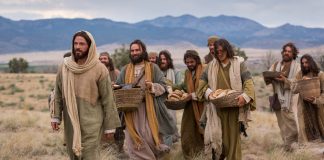 Koja su bila zanimanja dvanaest apostola?
