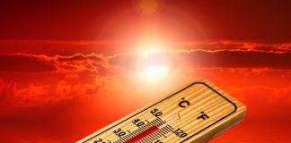 Toplinski val: Kako se zaštititi od velikih vrućina?