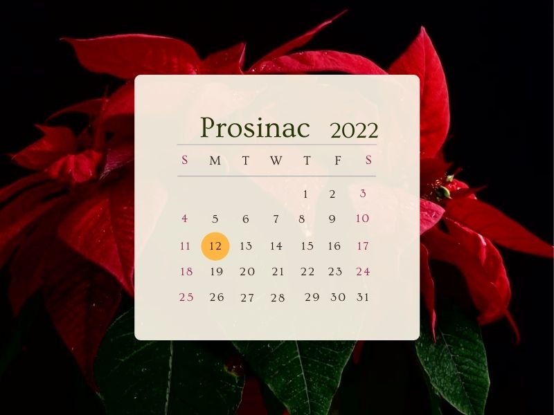 Advent 2022 - katolički kalendar