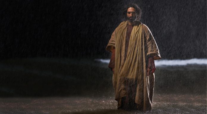 Ugledaju Isusa kako ide po moru