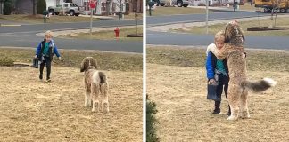 pas grli dječaka koji se vraća iz škole