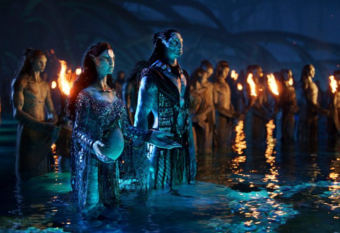 Avatar Put vode