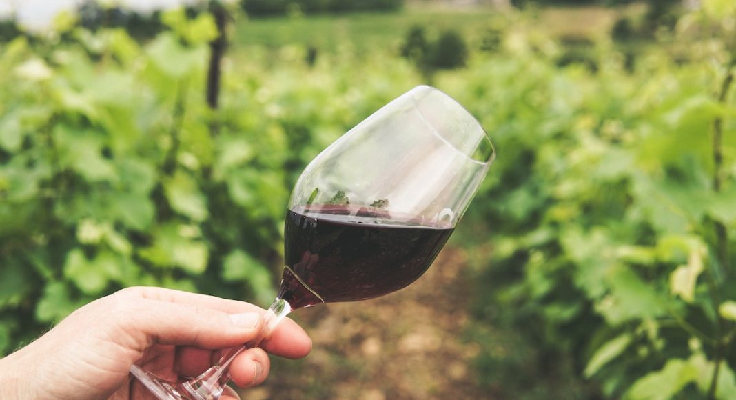 Je li Krist pio vino