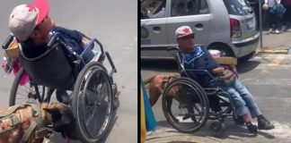Žena je srela psa s vlasnikom invalidom