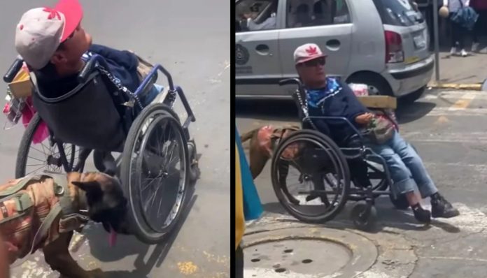 Žena je srela psa s vlasnikom invalidom