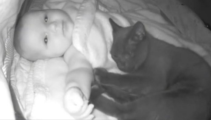 Čula je obavijest kamere koja je nadzirala bebu