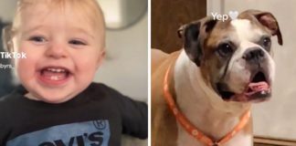 Majka nadjenula sinu ime po svom uginulom psu
