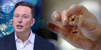 Elon Musk želi ugraditi implantate u ljudski mozak