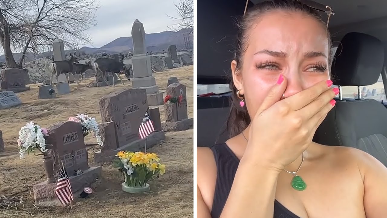 Woman receives emotional sign at her boyfriend's grave