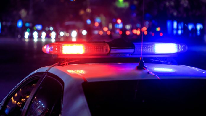 Zagrebački policajac je primijetio da auto pored njega trubi