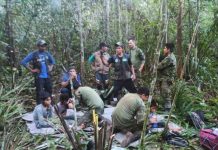 Čudo u džungli: Djeca preživjela pad aviona, pronađeni nakon više od mjesec dana potrage