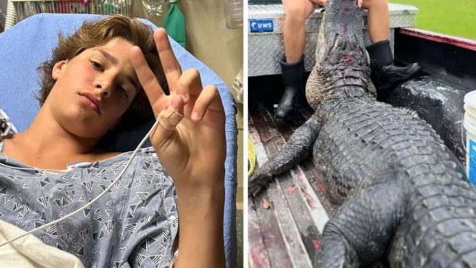 Dječak i aligator