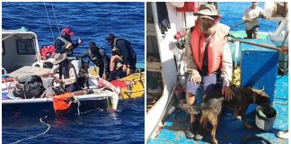 Čovjek i pas spašeni nakon tri mjeseca na moru
