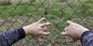 Imigrant koji je u Njemačkoj osuđen zbog silovanja pušten na slobodu