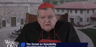 Konzervativni katolički kardinal predviđa da bi Sinoda o sinodalnosti mogla dovesti do raskola