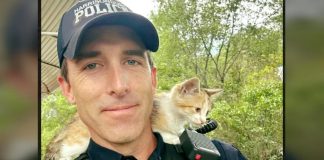 Policajac usvojio mačića