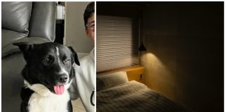 Pas budi vlasnike u 5 ujutro i vodi ih do sobe njihovog sina zbog jednog razloga