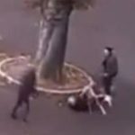 Krvoproliće u školi u Francuskoj: Uletio je s nožem i vikao "Allahu Akbar"