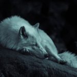 Poučna priča za one koji stalno kukaju: Mnogima će otvoriti oči Poučna priča kukanje