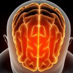 Neurokirurg otkriva činjenice o mozgu, no jednu tajnu samo Bog zna Činjenice o mozgu Bog