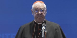 Kardinal Müller: To što papa Franjo dopušta 'trans' osobama da budu kumovi 'zbunjujuće je i štetno'
