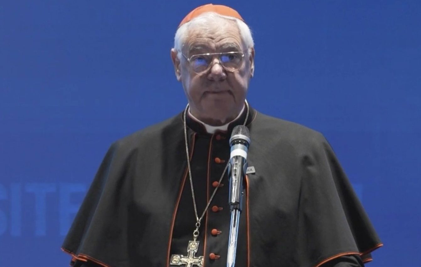 Kardinal Müller: To što papa Franjo dopušta 'trans' osobama da budu kumovi 'zbunjujuće je i štetno'