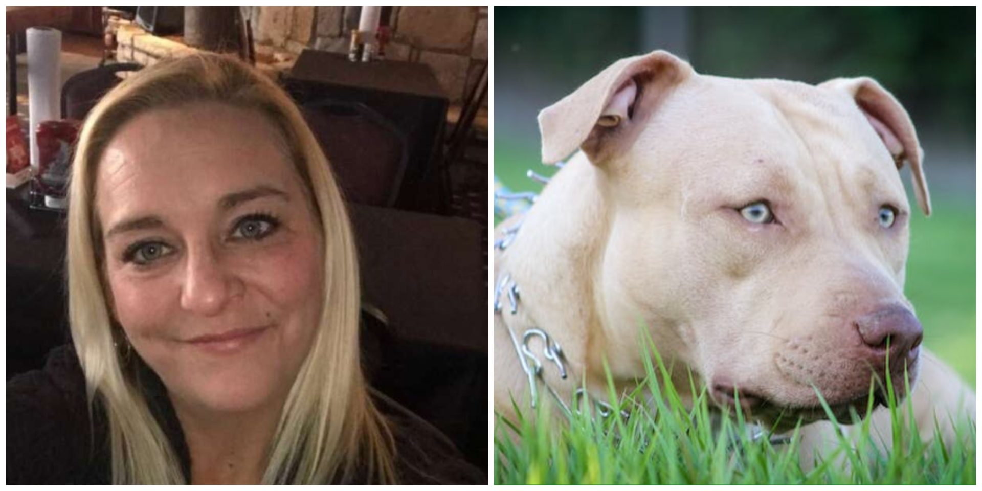 Žena spavala s psom sve dok nije izgubio kontrolu i pokušao je ubiti