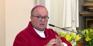 Papin savjetnik: Svećenicima treba dati mogućnost da se vjenčaju