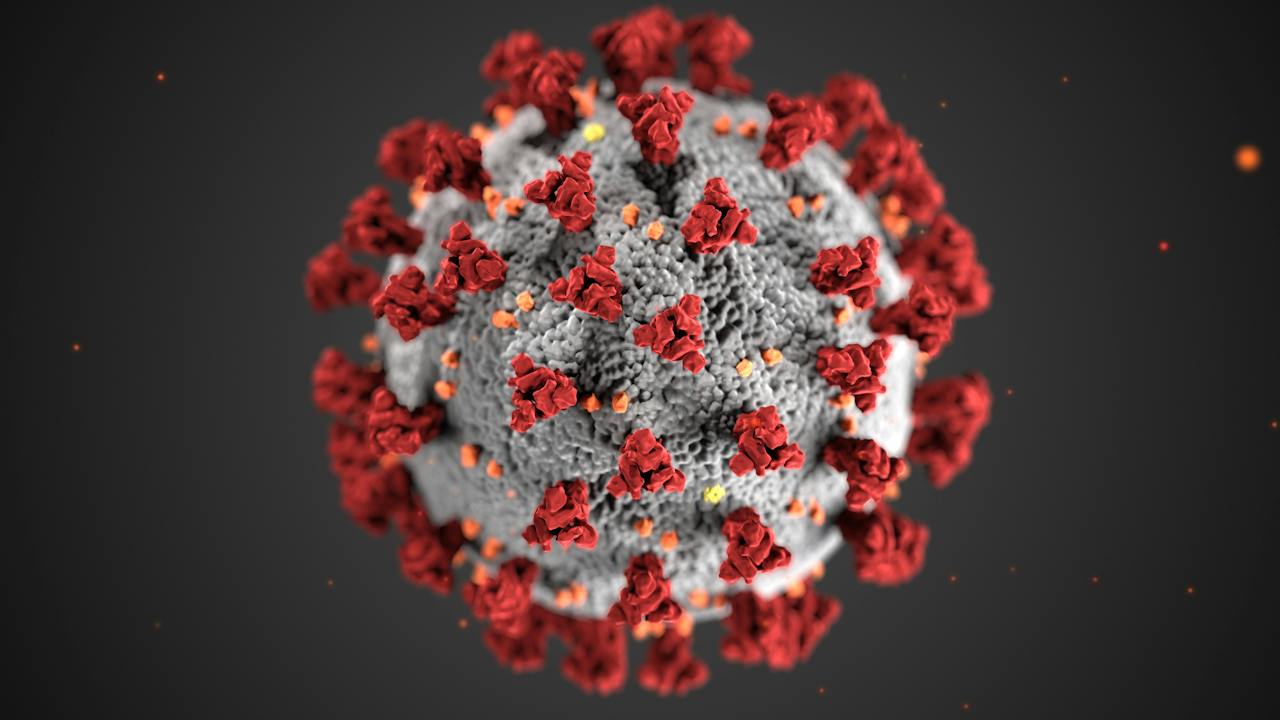 Svjetska zdravstvena organizacija (WHO) upozorava da bi bolest X, koja još ne postoji, mogla uzrokovati 20 puta više smrtnih slučajeva od pandemije koronavirusa
