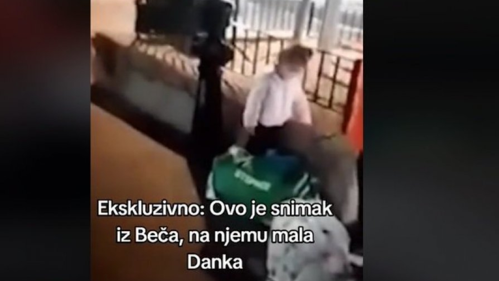 Danka Ilić Beč snimka