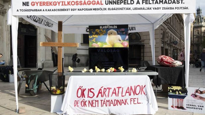 Vegani u Budimpešti