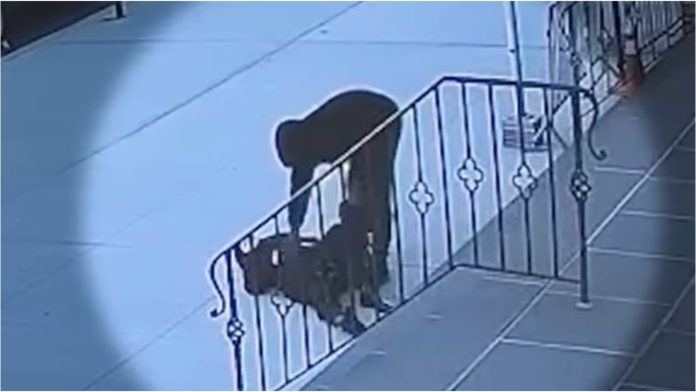Baka napadnuta na ulazu u crkvu