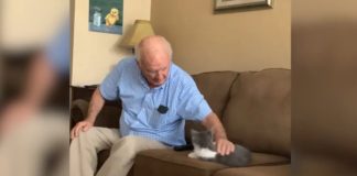 Ovaj djed je “mrzio” mačke