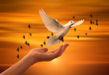 4 načina na koje Duh Sveti vodi vjernike
