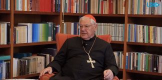Kardinal Muller: Nasljednik pape Franje mora reći "ne" islamu, klimatskoj ideologiji i antikršćanskim elitama