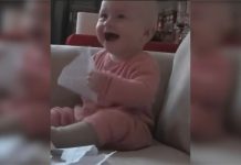 Beba se histerično smije dok trga očevu odbijenicu za posao
